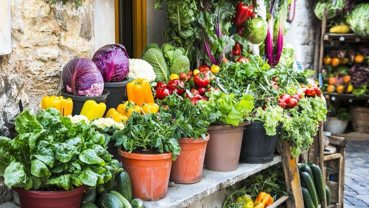Il pousse en pot, même en appartement, et donne des fruits à profusion toute l’année
