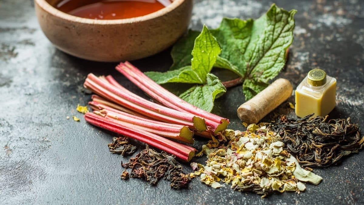 “Ne jette plus les feuilles de rhubarbe !” : une astuce naturelle que les anciens connaissaient bien