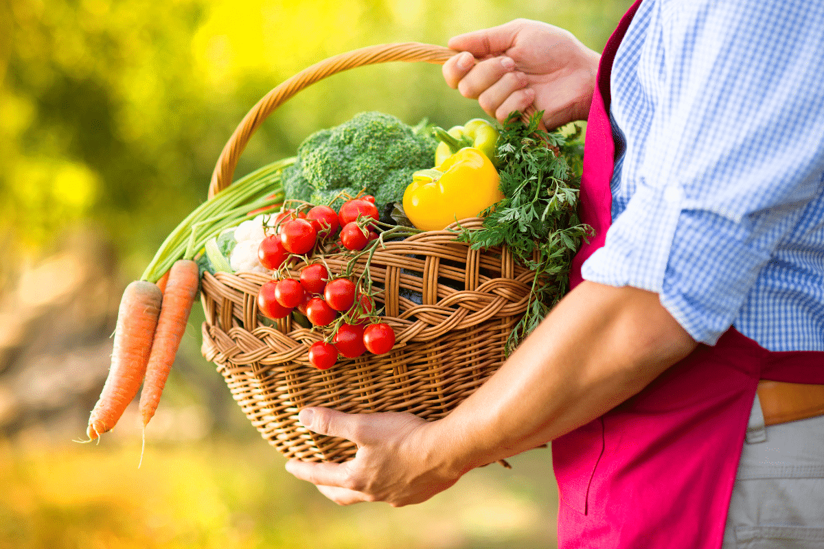 Pas besoin de serre : je récolte dès juillet grâce à ces semis malins de fin de printemps
