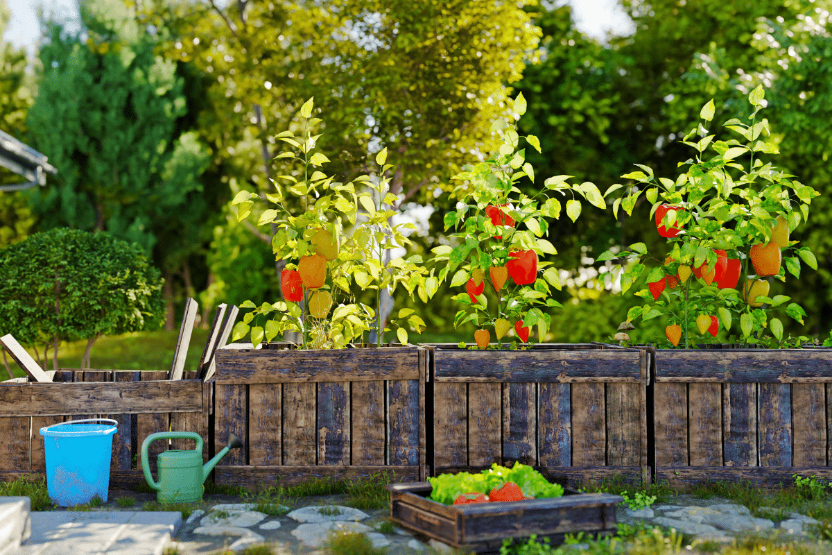 Technique du jardin en lasagnes : pourquoi tous les jardiniers débutants s’y mettent en 2025