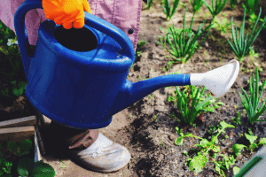 Un arrosoir en plastique résistant