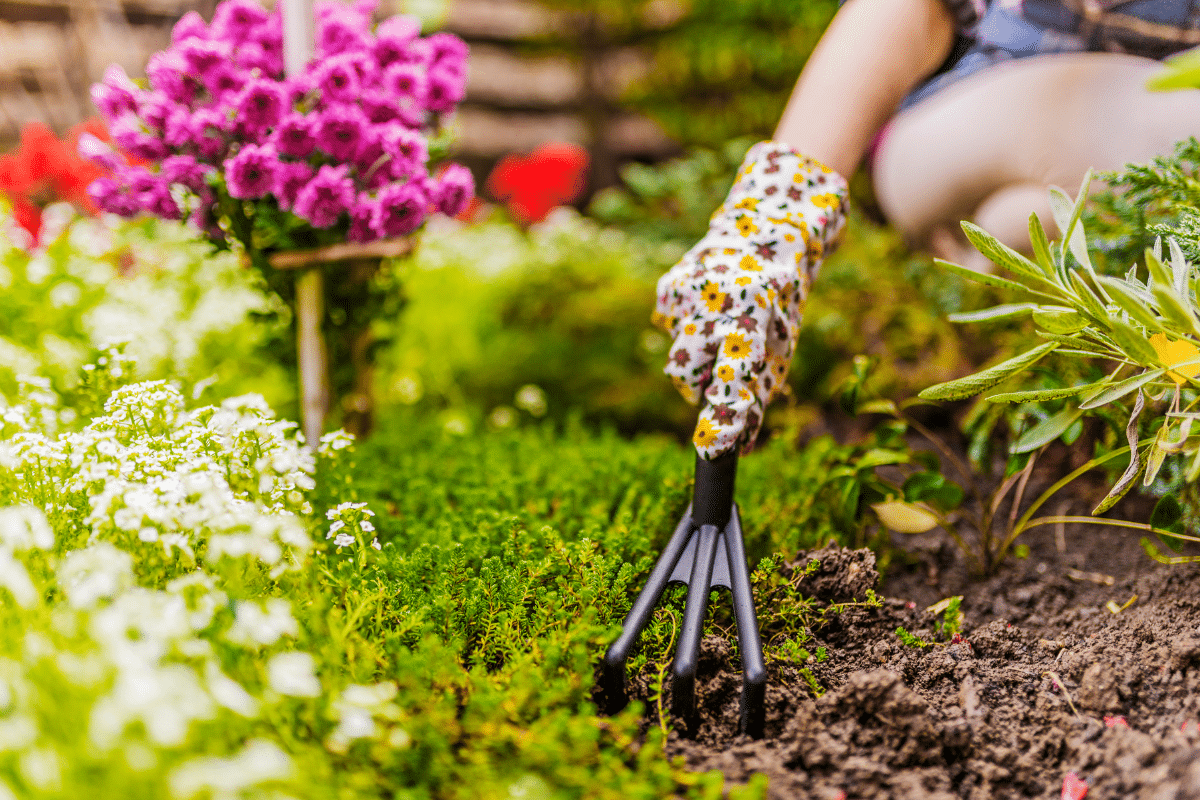 3 Gestes à faire avant la pluie pour des fleurs plus belles tout l’été, testé par un fleuriste