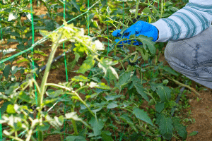 Étapes d’installation : un processus rapide et intuitif